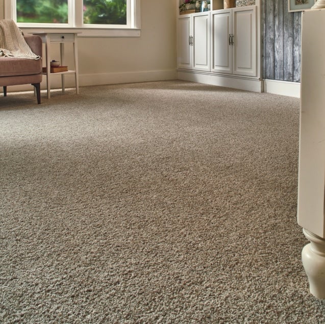 Room scene featuring carpet flooring